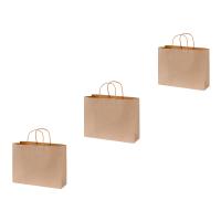 Boutique Paper Bag - BOX OF 100 - Brown
