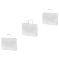 Boutique Paper Bag - Pack of 30 - White